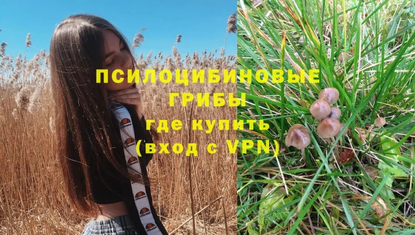 ешки Абдулино