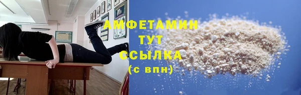 крисы Абаза