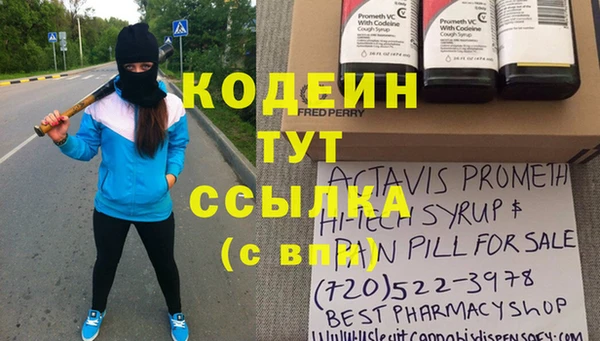 крисы Абаза