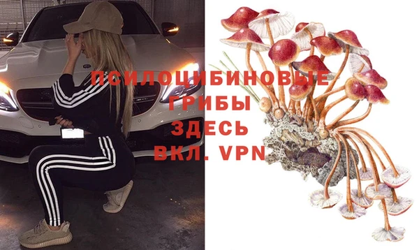 хмурый Абинск
