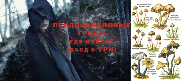 хмурый Абинск