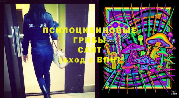 крисы Абаза