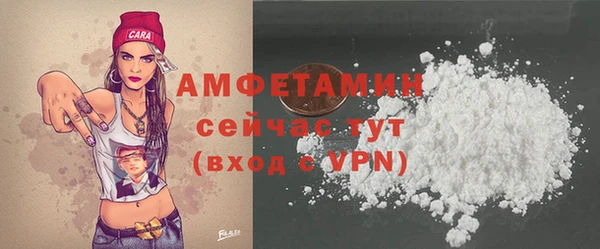 крисы Абаза