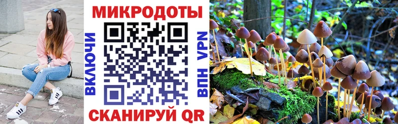Псилоцибиновые грибы прущие грибы  Искитим 